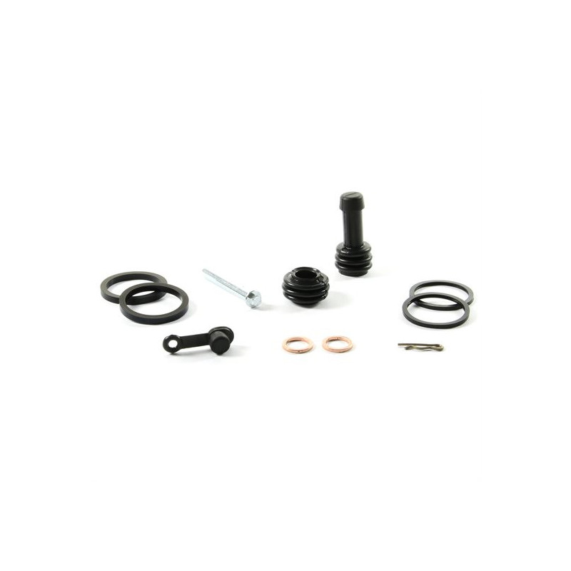 kit revisione pinza freno posteriore Suzuki Rm 85