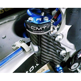 Protezione pompa posteriore carbonio Yamaha WR 250 F