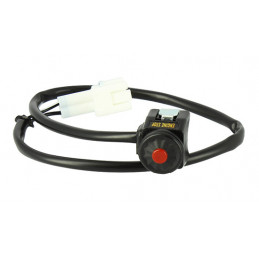 kill switch Riolo Kawasaki...