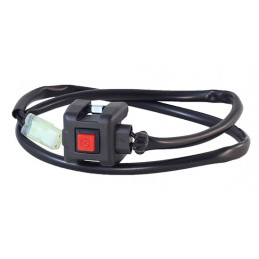 kill switch Riolo Yamaha WR...