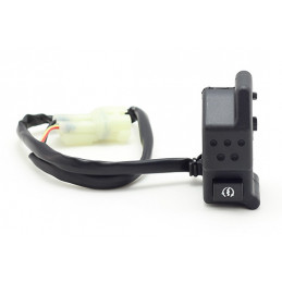 starter switches Riolo...