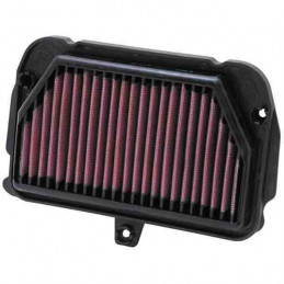 Filtro aria K&N APRILIA 1000 RSV 4 R Factory 09-10-AL-1010-K&N