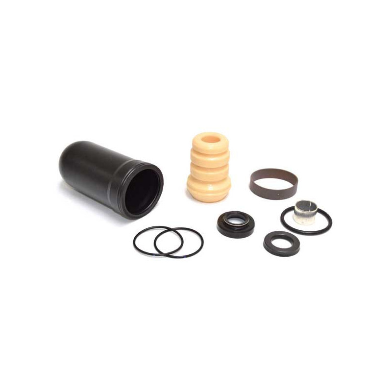 Kit revisione monoammortizzatore KAYABA 16X46 mm YAMAHA YZ 250