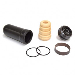 Kit revisione monoammortizzatore Kayaba 46/16mm YAMAHA YZ 450 F