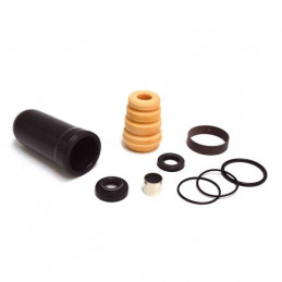 Kit revisione monoammortizzatore Kayaba 46/16mm HONDA CR R 125