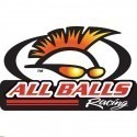 All Balls ricambi moto