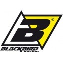 Blackbird Racing